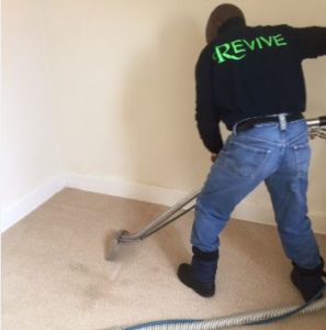 Carpet Cleaning Team