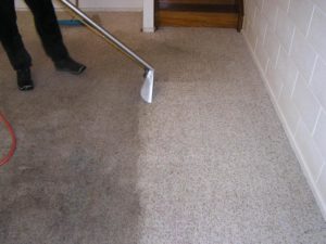 Carpet Cleaning In Action