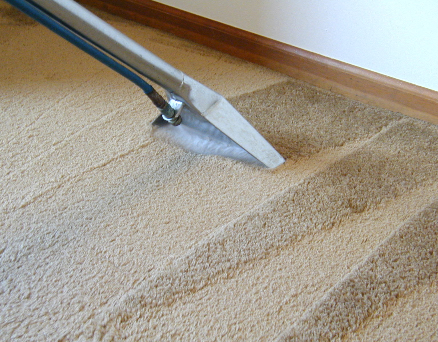Carpet Cleaning Extra For Furniture Removals Dorset Project